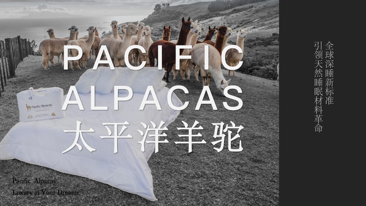 Pacific Alpacas 太平洋羊驼项目封面
